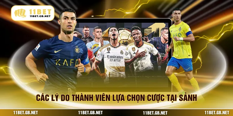 Các lý do thành viên lựa chọn cược tại sảnh