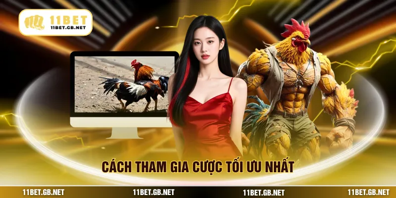 Cách tham gia cược tối ưu nhất