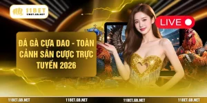 Đá Gà Cựa Dao - Toàn Cảnh Sân Cược Trực Tuyến 2026