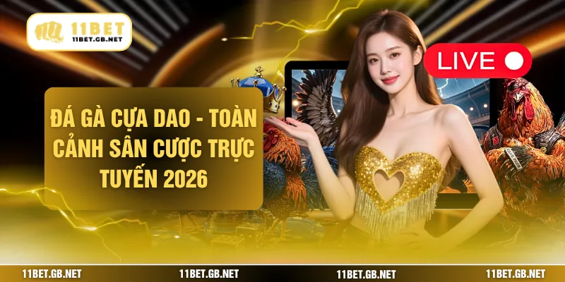 Đá Gà Cựa Dao - Toàn Cảnh Sân Cược Trực Tuyến 2026