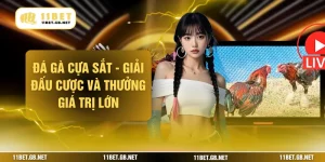 Đá Gà Cựa Sắt - Giải Đấu Cược Và Thưởng Giá Trị Lớn