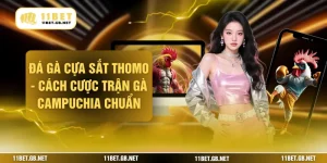 Đá Gà Cựa Sắt Thomo - Cách Cược Trận Gà Campuchia Chuẩn