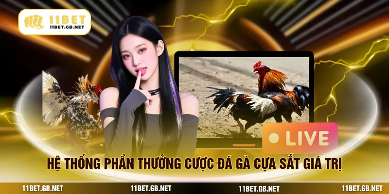 Hệ thống phần thưởng cược đá gà cựa sắt giá trị