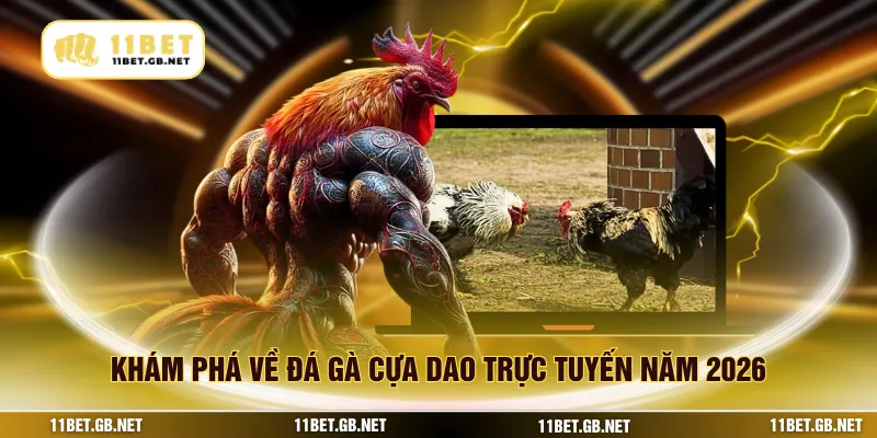 Khám phá về đá gà cựa dao trực tuyến năm 2026