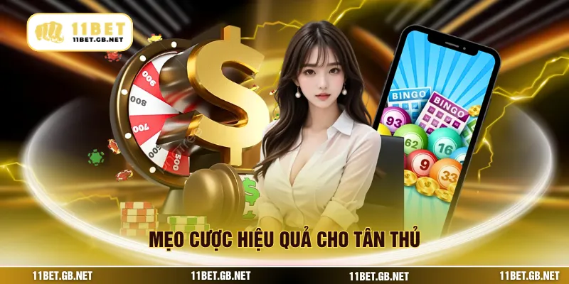Mẹo cược hiệu quả cho tân thủ