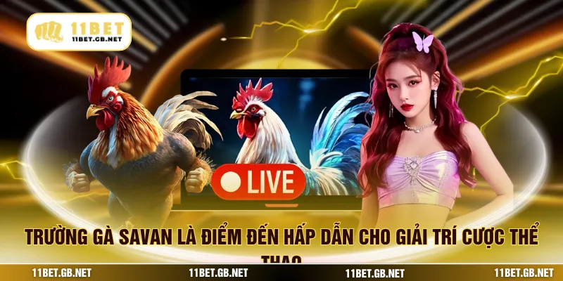 Trường gà savan là điểm đến hấp dẫn cho giải trí cược thể thao