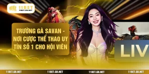 Trường Gà Savan - Nơi Cược Thể Thao Uy Tín Số 1 Cho Hội Viên