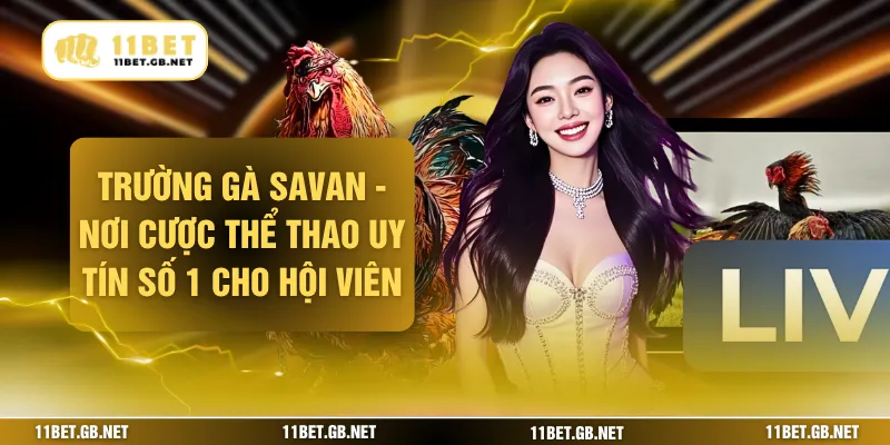 Trường Gà Savan - Nơi Cược Thể Thao Uy Tín Số 1 Cho Hội Viên