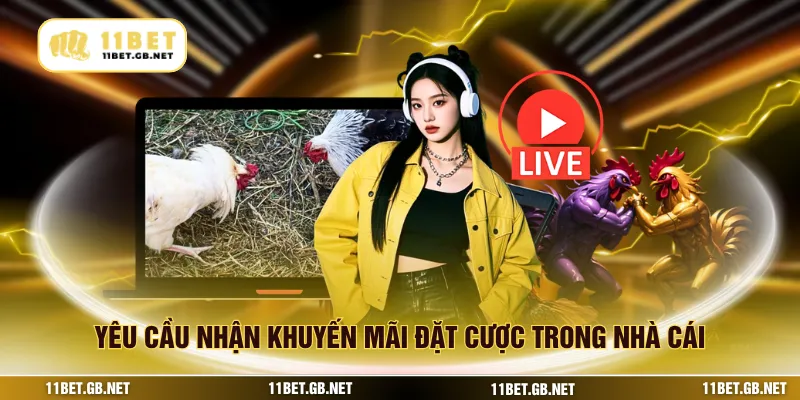 Yêu cầu nhận khuyến mãi đặt cược trong nhà cái